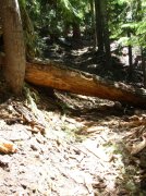 Summer '06 Sunriver II 074